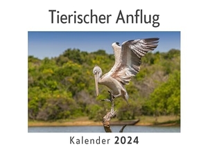 Müller, Anna. Tierischer Anflug (Wandkalender 2024, Kalender DIN A4 quer, Monatskalender im Querformat mit Kalendarium, Das perfekte Geschenk). 27amigos, 2023.