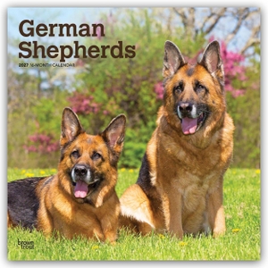 Publishers, Browntrout. German Shepherds - Deutsche Schäferhunde 2027 - 16-Monatskalender - Original BrownTrout-Kalender [Mehrsprachig] [Kalender]. Browntrout Verlags GmbH, 2026.