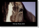 Welt der Pferde 2024 Fotokalender DIN A3