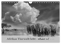 Afrikas Tierwelt lebt - schwarz auf weiß (Wandkalender 2024 DIN A4 quer), CALVENDO Monatskalender