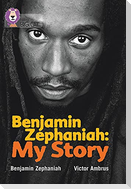 BIG CAT - BENJAMIN ZEPH
