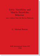 Lithic Variability and Middle Palaeolithic Behavior