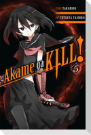 Akame Ga Kill!, Vol. 5