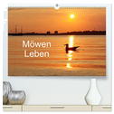 Möwen Leben (hochwertiger Premium Wandkalender 2024 DIN A2 quer), Kunstdruck in Hochglanz