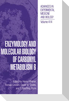 Enzymology and Molecular Biology of Carbonyl Metabolism 6