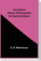 The Natural History Of Marsupialia Or Pouched Animals