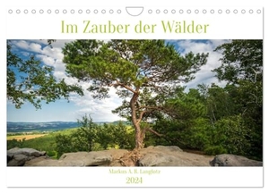 A. R. Langlotz, Markus. Im Zauber der Wälder (Wandkalender 2024 DIN A4 quer), CALVENDO Monatskalender - Zauberhafte Wälder Mitteleuropas. Calvendo, 2023.