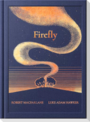Night Creatures: Firefly