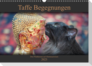 Taffe Begegnungen-Drei Waldkatzen auf Abenteuerreisen (Wandkalender 2023 DIN A3 quer)