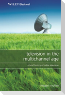 Television in the Multichannel Age