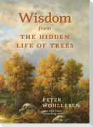 Wisdom From The Hidden Life of Trees