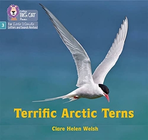 Welsh, Clare Helen. Terrific Arctic Terns - Phase 3 Set 2. HarperCollins Publishers, 2022.