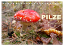 Pilze im Elfenwald (Tischkalender 2024 DIN A5 quer), CALVENDO Monatskalender