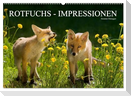 Rotfuchs - Impressionen (Wandkalender 2024 DIN A2 quer), CALVENDO Monatskalender
