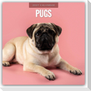 Pugs - Mops 2027 - 16-Monatskalender