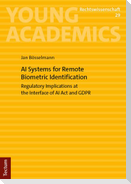 AI Systems for Remote Biometric Identification
