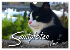 Bleicher, Renate. SAMTPFOTEN "fellnah" (Wandkalender 2024 DIN A4 quer), CALVENDO Monatskalender - Faszinierende Katzen "fellnah" abgelichtet. Calvendo Verlag, 2023.