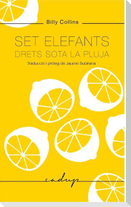 Set elefants drets sota la pluja