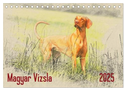 Magyar Vizsla 2025 (Tischkalender 2025 DIN A5 quer), CALVENDO Monatskalender