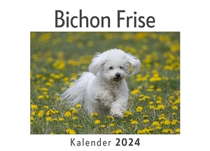 Müller, Anna. Bichon Frise (Wandkalender 2024, Kalender DIN A4 quer, Monatskalender im Querformat mit Kalendarium, Das perfekte Geschenk). 27amigos, 2023.