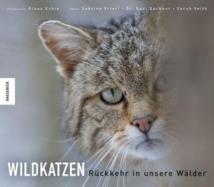 Suchant, Rudi / Streif, Sabrina et al. Wildkatzen - Rückkehr in unsere Wälder. Knesebeck Von Dem GmbH, 2018.