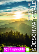 Gipfeltouren südlicher Schwarzwald