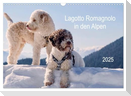 Lagotto Romagnolo in den Alpen 2025 (Wandkalender 2025 DIN A3 quer), CALVENDO Monatskalender