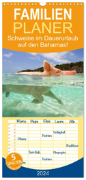 Familienplaner 2024 - Schweine im Dauerurlaub auf den Bahamas! mit 5 Spalten (Wandkalender, 21 x 45 cm) CALVENDO