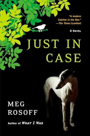 Rosoff, Meg. Just in Case. Penguin Publishing Group, 2008.