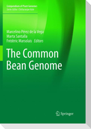 The Common Bean Genome