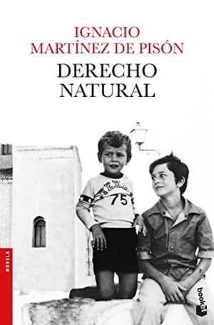 Martínez De Pisón, Ignacio. Derecho natural. Booket, 2018.