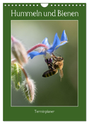 Hummeln und Bienen Terminplaner (Wandkalender 2024 DIN A4 hoch), CALVENDO Monatskalender
