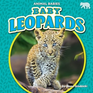 Grodzicki, Jenna. Baby Leopards. Bearport Publishing by Flutterbee, 2022.