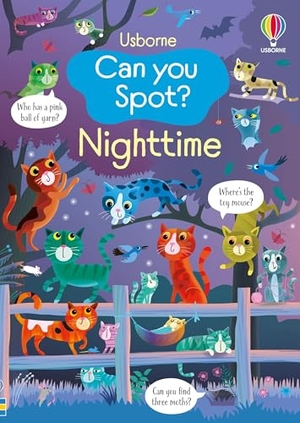 Robson, Kirsteen. Can You Spot? Nighttime. Usborne Books, 2025.
