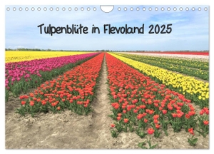Konkel, Christine. Tulpenblüte in Flevoland 2025 (Wandkalender 2025 DIN A4 quer), CALVENDO Monatskalender - Tulpenblüte in Flevoland. Calvendo, 2024.