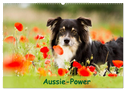 Aussie-Power (Wandkalender 2024 DIN A2 quer), CALVENDO Monatskalender