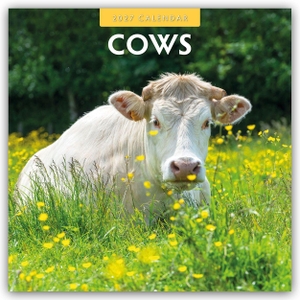 Red, Robin. Cows - Kühe 2027 - 16-Monatskalender - Original Red Robin Publishing Ltd-Kalender [Mehrsprachig] [Kalender]. Browntrout Verlags GmbH, 2026.
