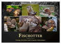 Fischotter - putzige Kerlchen und elegante Schwimmer (Wandkalender 2025 DIN A2 quer), CALVENDO Monatskalender