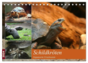 Schildkröten - Gepanzerte Urzeitwesen (Tischkalender 2024 DIN A5 quer), CALVENDO Monatskalender
