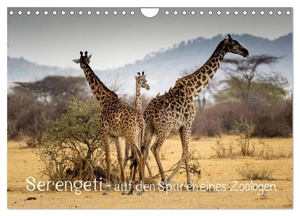 Maaß, Jürgen. Serengeti - auf den Spuren eines Zoologen (Wandkalender 2024 DIN A4 quer), CALVENDO Monatskalender - Eine einzigartige Safari durch Tansania. Calvendo, 2023.
