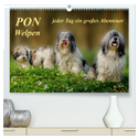PON - Welpen, jeder Tag ein großes Abenteuer (hochwertiger Premium Wandkalender 2025 DIN A2 quer), Kunstdruck in Hochglanz
