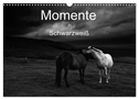 Momente in Schwarzweiß (Wandkalender 2025 DIN A3 quer), CALVENDO Monatskalender