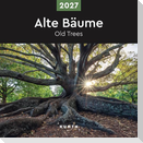 Alte Bäume - KUNTH Broschurkalender 2027