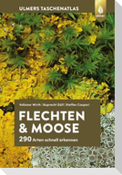 Flechten und Moose