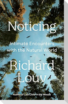 Noticing