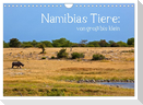 Namibias Tiere: von groß bis klein (Wandkalender 2024 DIN A4 quer), CALVENDO Monatskalender