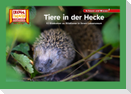 Tiere in der Hecke / Kamishibai Bildkarten
