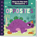 Baby Stegosaurus Finds Opposites