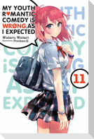 My Youth Romantic Comedy Is Wrong, As I Expected, Vol. 11 (light novel)