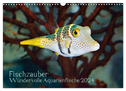 Fischzauber - Wundervolle Aquarienfische (Wandkalender 2024 DIN A3 quer), CALVENDO Monatskalender